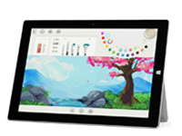 巢湖Surface 无法开启、Windows 无法启动或电池无法充电